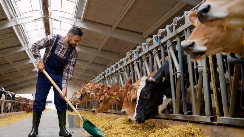 Skema kombëtare e bujqësisë, AZHBR njofton 21 mijë përfituesit e parë