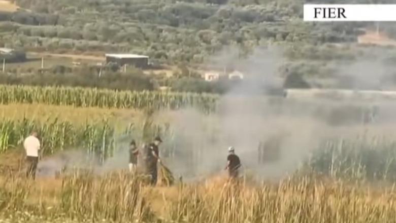 Dogjën mbeturinat në ara, flakët dolën jashtë kontrollit dhe rrezikuan banesat, 1 i arrestuar në Fier