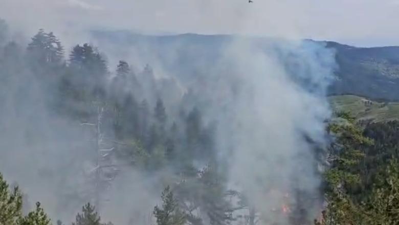 Korçë/ Riaktivizohet zjarri mes Lekasit dhe Voskopojës, përfshihet edhe pylli me pisha, 116 forca dhe 18 mjete të angazhuar në terren
