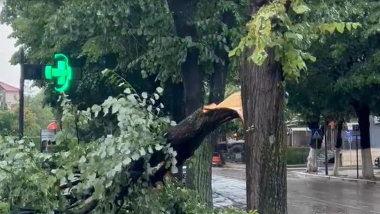 Shiu dhe breshëri sjellin problemet e para në Korçë, pema rrëzohet mbi trotuar dhe bllokon kalimin e këmbësorëve