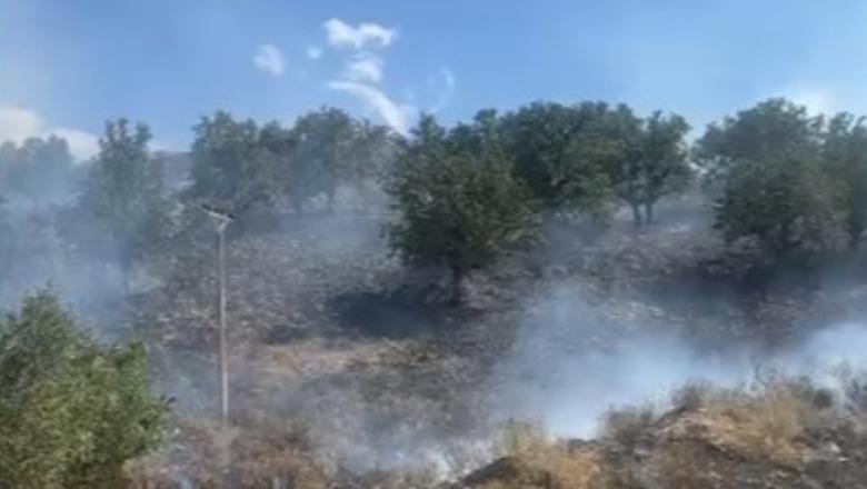Dy vatra zjarri në jug,  Piluri në Himarë përfshihet nga flakët, vijon beteja edhe në Parkun e Llogarasë