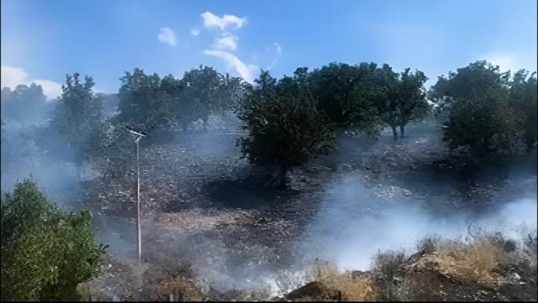 Dy vatra zjarri në jug,  Piluri në Himarë përfshihet nga flakët, vijon beteja edhe në Parkun e Llogarasë! 20 efektivë të FA-së në terren  (VIDEO)