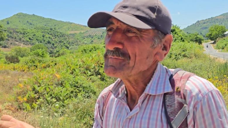 Mallakastër/ Bariu që mban gjallë traditën në Aranitas: Gjithë ditën me dhi, kjo është jeta ime! Punë e mundimshme, por diçka del sa për të jetuar