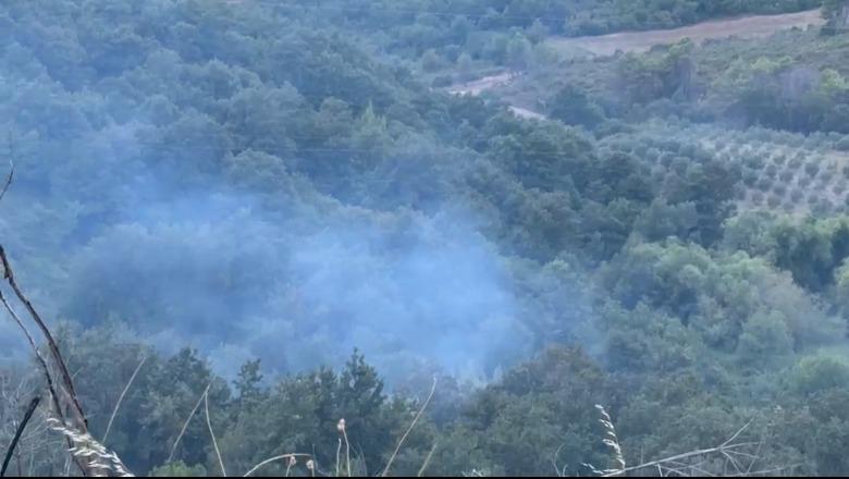 Zjarr në kodrat e Peshtanit, ndërhyrja e shpejtë shmang përhapjen e flakëve