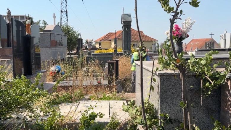 Lezha vendos tarifë në varreza, 25 mijë lekë për një vendvarrim dhe rregulla të reja! Ndreu: S’tolerojmë më abuzimet