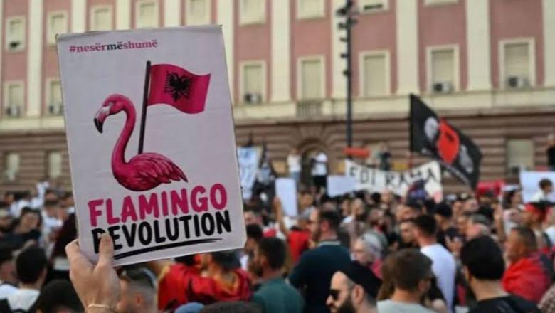 Fatos Çoçoli: Protesta, hija e vetvetes? 