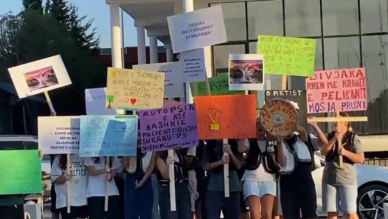 Reforma Territoriale/ Divjaka proteston kundër një bashkie të përbashkët me Lushnjen
