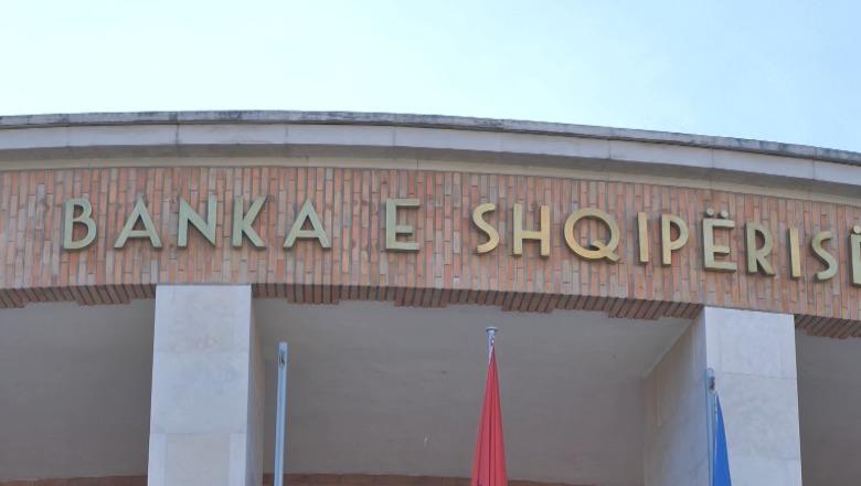 Bankat rekord me 2.3 mld € kredi në gjashtë muaj, kryesojnë tregtia, industria dhe ndërtimi! BSH: Qytetarët morën 786 mln € hua