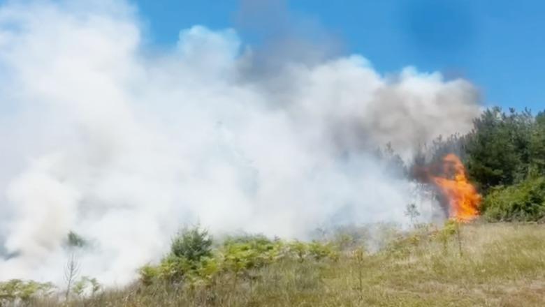 Zjarri në Fushë-Arrëz rrezikoi banesat, flakët nën kontroll! Dyshohet se u shkaktua nga pakujdesia e fëmijëve, shoqërohet babai