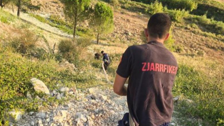 Zjarr në fshatin Visokë të Mallakastrës, flakët përfshijnë një sipërfaqe me shkurre pranë rrugës kryesore