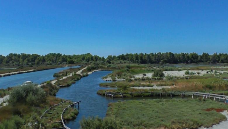 Cilësia e ujit përkeqësohet në tri lagunat kryesore, Butrinti bie një kategori