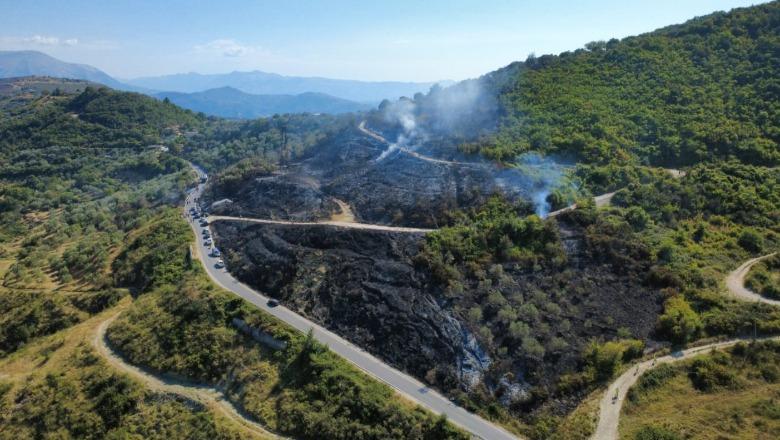 Ndezi zjarrin që dogji 400 pemë ulliri në ‘Qafën e Vidhit’, arrestohet 54-vjeçari në Mallakastër (EMRI)