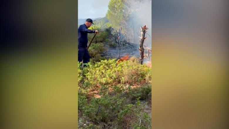 Vatër e re zjarri në Mallakastër, digjet pylli në Riban! Pranga zjarrvënësit në ‘Qafën e Vidhit’