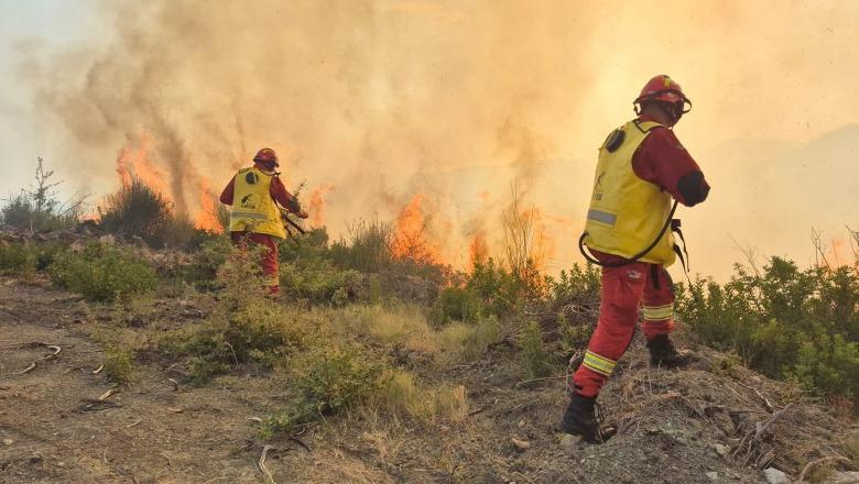 20 vatra zjarri gjatë 24 orëve, 727 forca operacionale u angazhuan për shuarjen e flakëve, 128 efektivë të FA