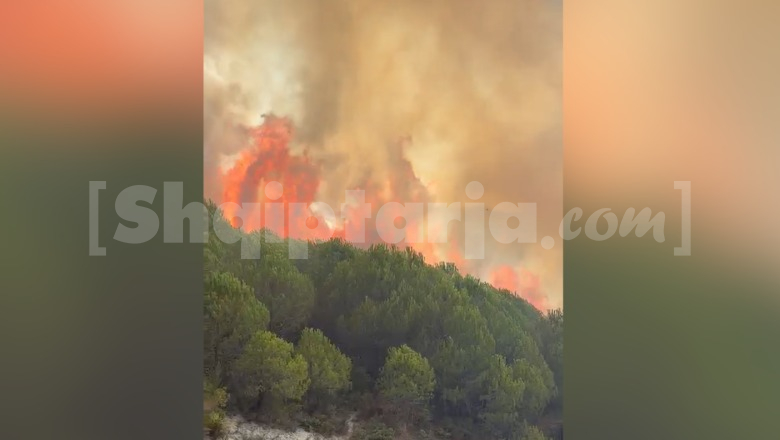 Mallakastër, flakët rrezikojnë banesat në Riban! Ndërhyhet me helikopter për shuarjen e zjarrit