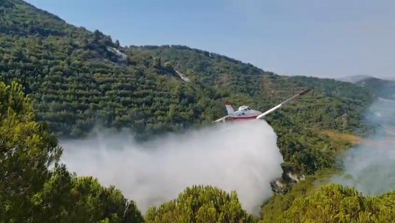 Mallakastër/ Zjarri në fshatin Riban merr përmasa të mëdha, rrezikon të digjet masivi pyjor në Lofkënd! Nis ndërhyrja me helikopter e avion (VIDEO)