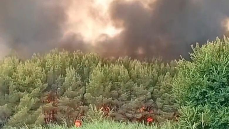 Zjarr në fshatin Penkovë në Selenicë, flakët përhapen me shpejtësi! Kërkohet ndihma e zjarrfikësve nga Vlora dhe Himara