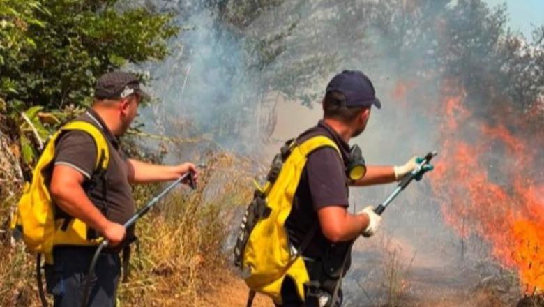 Dy fronte zjarri në qarkun e Elbasanit, era dhe temperaturat e larta favorizojnë përhapjen e flakëve