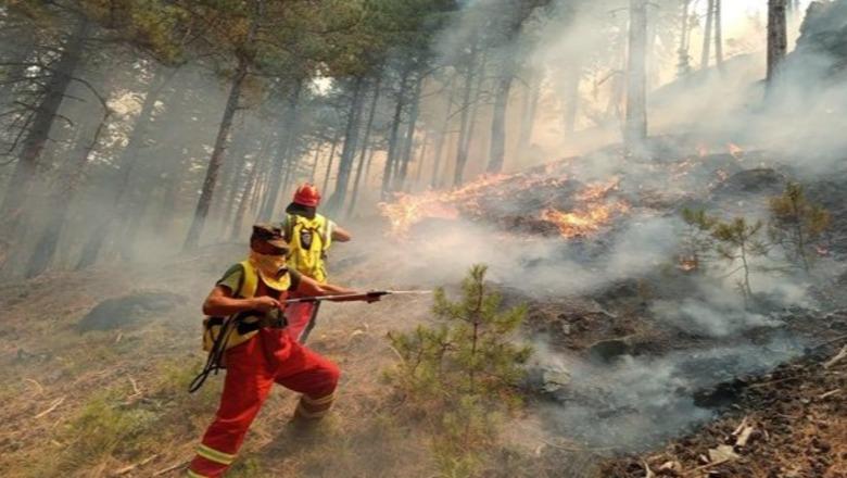 7 vatra zjarri ende aktive në vend, luftë me flakët në Dajt, Mallakastër, Elbasan dhe Dropull! Mbrojtja Civile: Mobilizohen 336 efektivë dhe mjete ajrore në operacionet zjarrfikëse