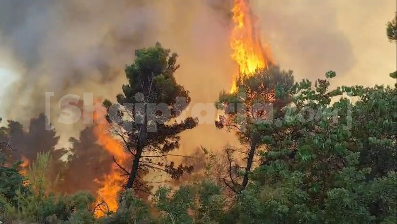 Report TV sjell pamjet nga 'ferri i zjarrit' në Mallakastër, zjarrfikësit nuk ndalin betejën me flakët (VIDEO)