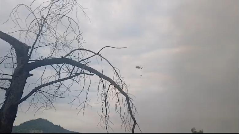 Mallakastër/ Flakët në masivin pyjor të Lofkendit jashtë kontrollit, rinis ndërhyrja nga ajri me helikopter