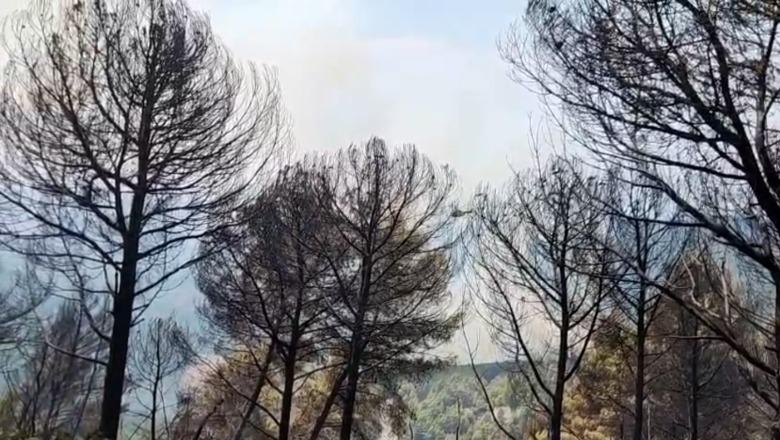 Situata me zjarrret në Mallakastër mbetet problematike, neutralizohet një vatër por flakët përhapen drejt Ngraçanit