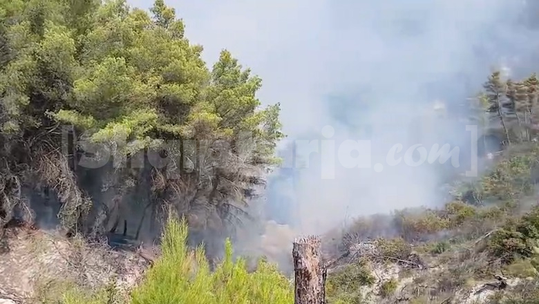 Era favorizon flakët në Mallakastër, zjarri avancon drejt Vloshit, helikopterët zjarrfikës sërish në ajër (VIDEO)