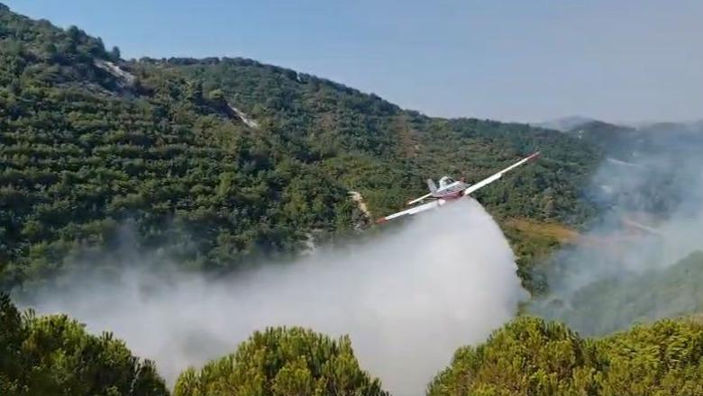 Mbrojtja Civile bën bilancin e zjarreve: Në Cikallesh të Kavajës rrezikohen banesat, po ndërhyn edhe avioni ‘Air Tractor’