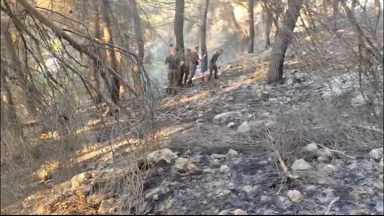 Pas 5 ditësh luftë me flakët, përmirësohet situata në Mallakastër! Digjen 180 hektarë pyje