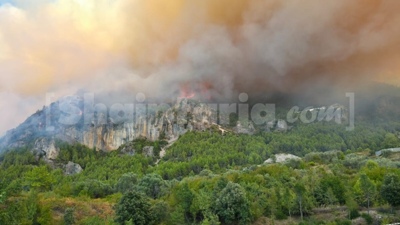 Situatë kritike në Fushë-Krujë, zjarri përfshin pyllin në shpatin e malit, rrezikohen 30 banesa! Kërkohet ndërhyrje nga ajri
