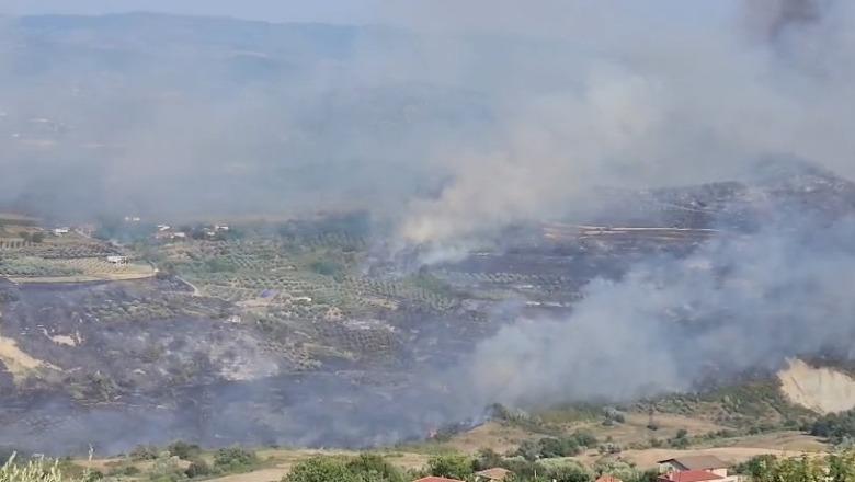 Vatër e re zjarri në Mallakastër, rrezikohen banesat në fshatin Koilac! Digjen sipërfaqe të mëdha toke, evakuohen disa familje