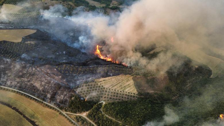 Mallakastra 6 ditë betejë me zjarret, ende vatra aktive! Digjen masivet pyjore në 4 fshatra