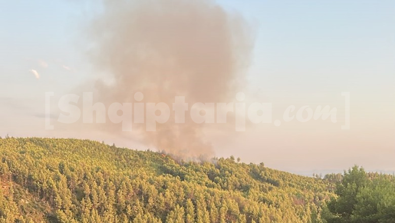 Kruja nuk gjen qetësi! Pas tmerrit të natës së kaluar, tjetër vatër zjarri në një masiv pyjor! Perimetri i flakëve po zgjerohet, ndërhyrja me mjete zjarrfikëse e pamundur