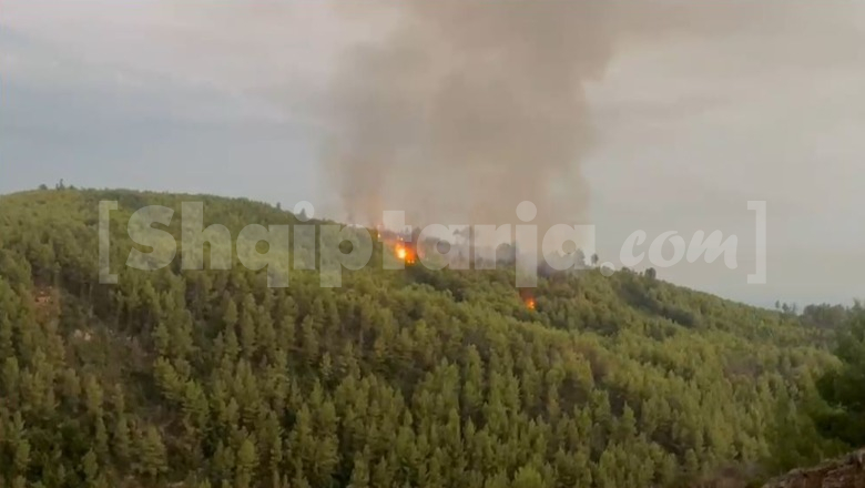 Kruja nuk gjen qetësi, tjetër vatër zjarri pranë shtëpive të qytetit! Flakët në Mallakastër e Patos vihen nën kontroll, nuk përbëjnë më rrezik për banesat