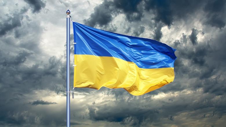 Albatros Rexhaj: Letër e hapur Ambasadës së Ukrainës në Tiranë