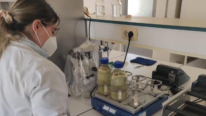 Ngjyra e errët në vijën bregdetare në Hamallaj të Durrësit, Ujësjellës-Kanalizimet: Sot janë marrë mostra të ujit në zonë, do publikohen parametrat teknikë