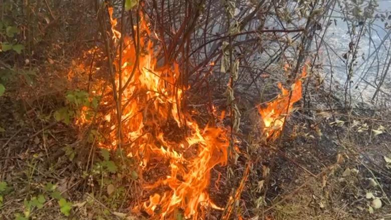 Zjarri i madh në Klos, flakët përhapen pranë banesave, banorët kërkojnë më shumë forca zjarrfikëse në terren