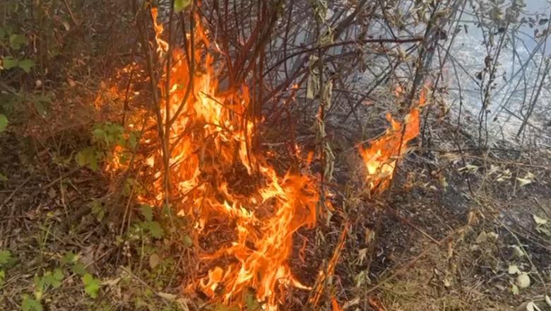 Zjarri i madh në Klos, flakët përhapen pranë banesave, banorët kërkojnë më shumë forca zjarrfikëse në terren