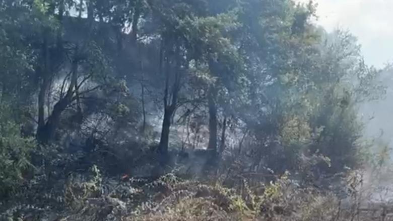Situata përmirësohet në Klos, zjarri i madh drejt fikjes, shmanget rreziku për banesat