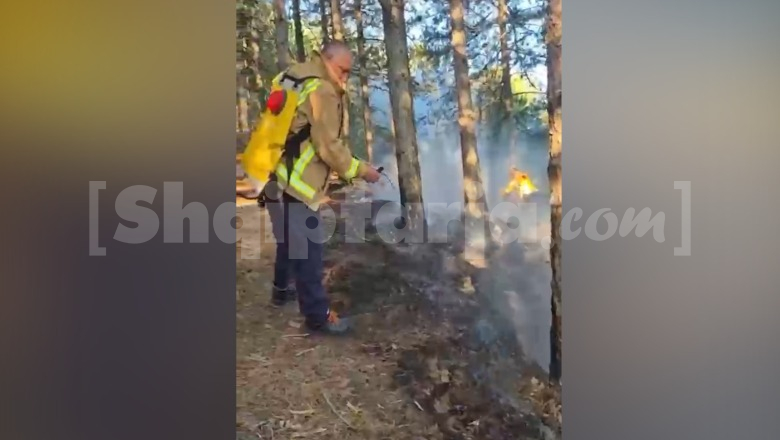 Zjarri kërcënon ‘kurorën e gjelbër’ të Pukës, dyshohet i qëllimshëm