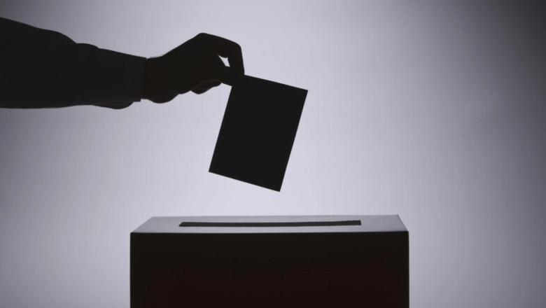 Nuancat larushe të 'elektoratit gri'