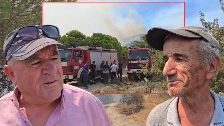 Patos/ Zjarri në Drenie kërcënon banesat, banorët: Rrezikon edhe pishat, ‘mushkërinë e Myzeqesë’! Përpiqemi të shpëtojmë sa mundim