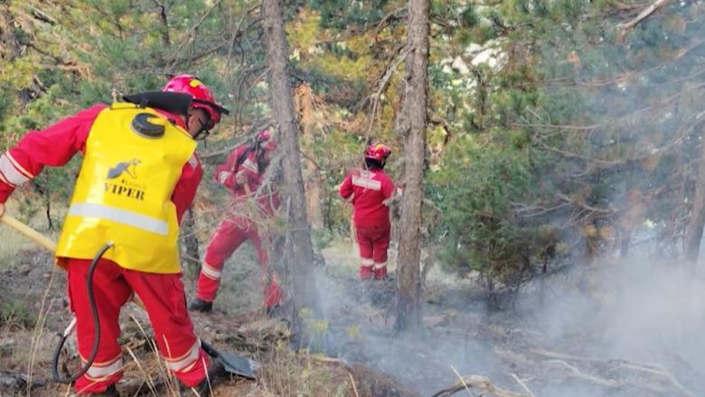 Situata me zjarret në Shqipëri, Ministria e Mbrojtjes: 9 vatra zjarri aktive në vend, mbi 450 forca në terren dhe 5 mjete ajrore në operacion