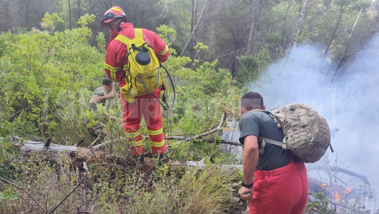 Ende aktiv zjarri në Drenie të Patosit, nis ndërhyrja për shuarjen! Gjatë natës flakët iu afruan banesave (VIDEO)