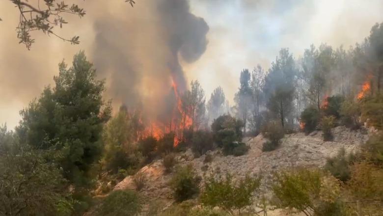 Vatër e re në lagjen Boje në Krujë, era favorizon flakët! Ndërhyn edhe helikopteri