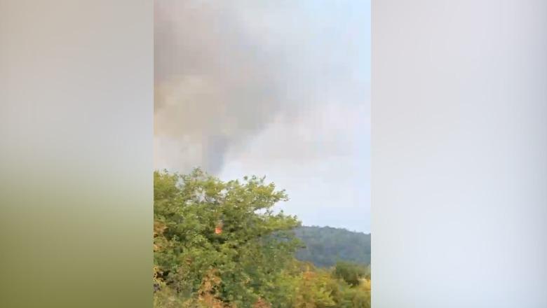 Tiranë/ Zjarr i përmasave të mëdha në Daias, tymi mbulon gjithë zonën! Forcat zjarrfikëse dhe një helikopter në terren për shuarjen e flakëve