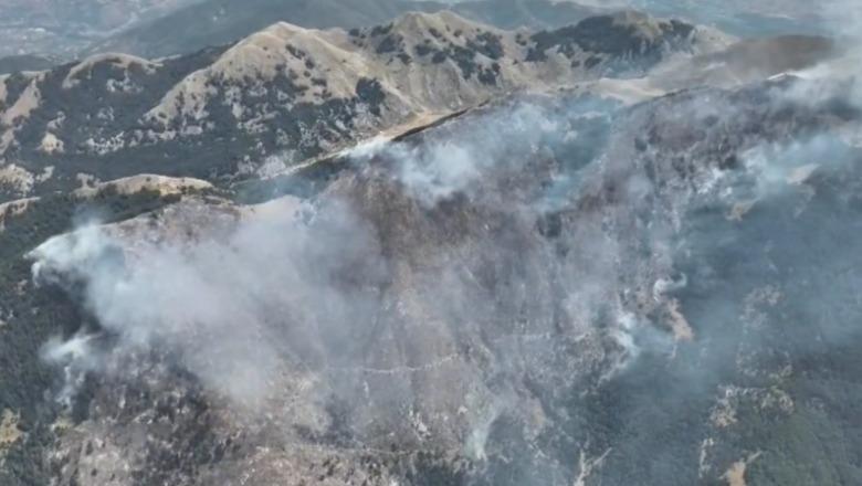 Lufta me flakët vazhdon në Lurë, Lamallari kërkon ndëshkim për zjarrvënësit: Ata që shkatërrojnë pasurinë kombëtare të përgjigjen sipas ligjit