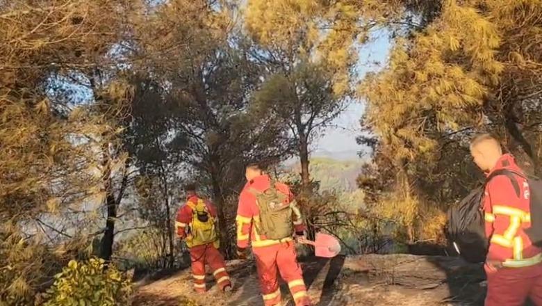 Mallakastër/ 70 forca punojnë për vatrat e zjarreve në Lofkënd-Ngraçije dhe Gjinoqare