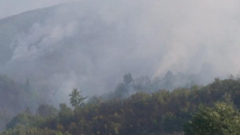 Zjarret/ Vihet nën kontroll situata në Daias të Tiranës, ndërhyn edhe helikopteri! Në Krujë flakët vetëm 10 metra larg banesave, vijojnë në Lurë e Mallakastër (VIDEO)