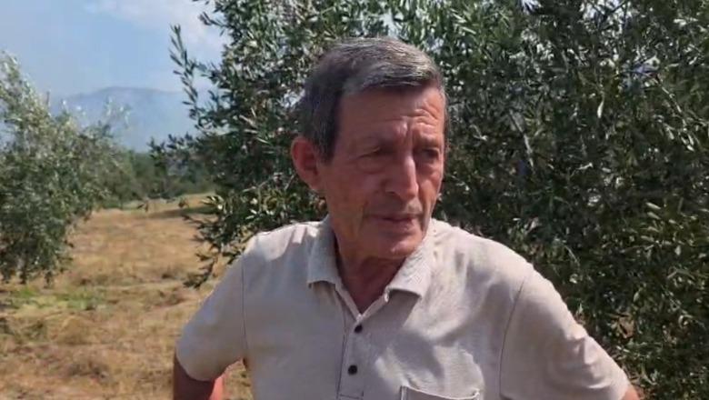 Zjarri, qytetari: Flakët nisën fillimisht në Priskë, më pas u hapën si pasojë e erës (VIDEO)